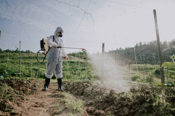 Best Ant Control Services  in Havre De Grace, MD