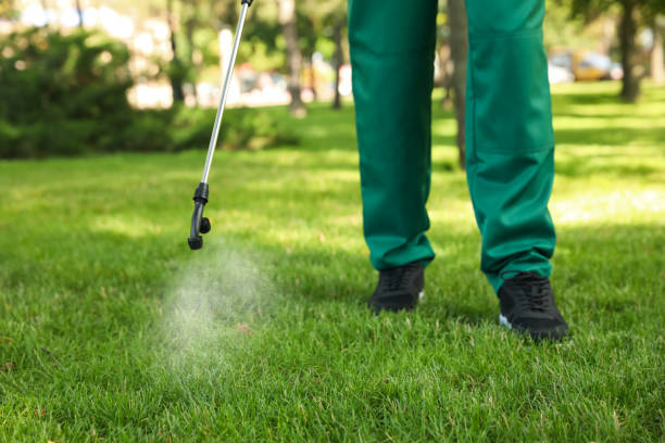 Best Insect Control  in Havre De Grace, MD