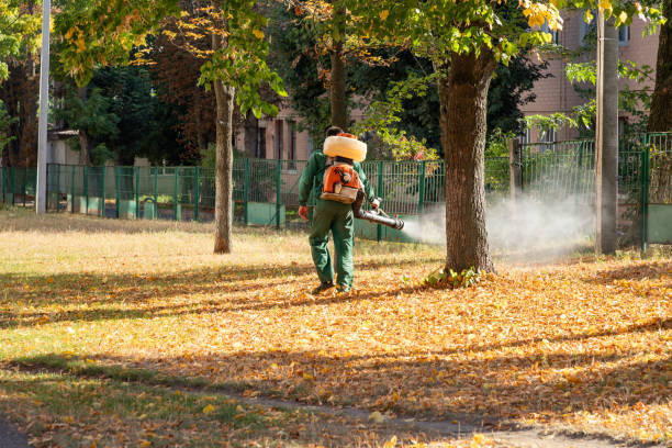 Best Mosquito Control Services  in Havre De Grace, MD
