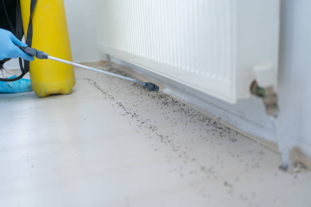 Best Commercial Pest Control Services  in Havre De Grace, MD